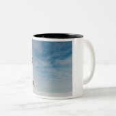 Tasse de phare (Devant droit)