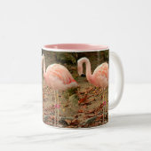 Tasse de photo du Flamant rose 3 (Devant droit)
