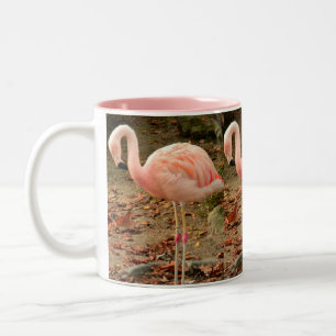 Tasse de photo du Flamant rose 3