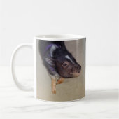 Tasse de photographie de porc gonflée par pot (Gauche)