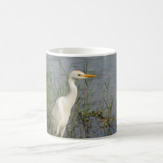 Tasse de photographie d'oiseau Héron garde-bœufs –
