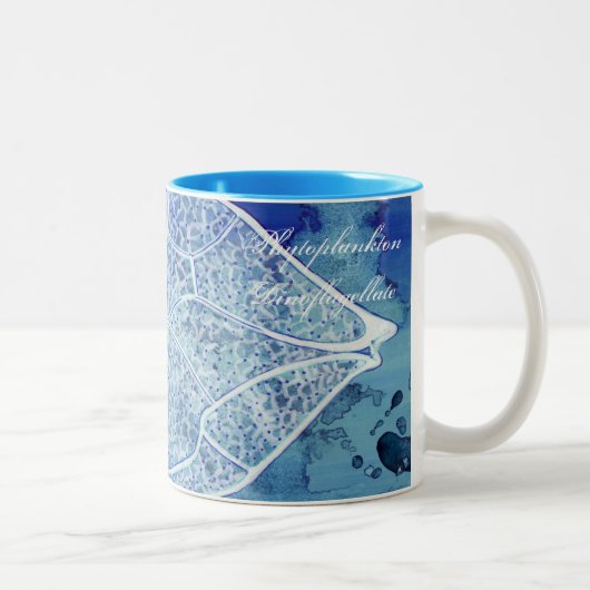 Tasse de phytoplancton (Droit)