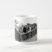 Tasse de piano de chat (Centre)