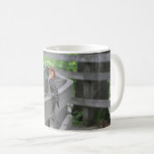 Tasse de pic à ventre rouge (Devant droit)