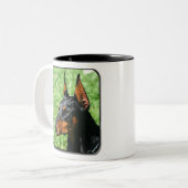 tasse de pinscher de dobermann (Devant gauche)