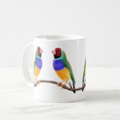 Tasse de pinsons de Gouldian (Devant gauche)