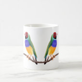 Tasse de pinsons de Gouldian (Centre)