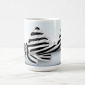 Tasse de Pleco de zèbre (Centre)
