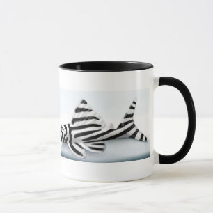 Tasse de Pleco de zèbre
