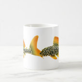 Tasse de poisson-chat de Pleco de soleil (Centre)