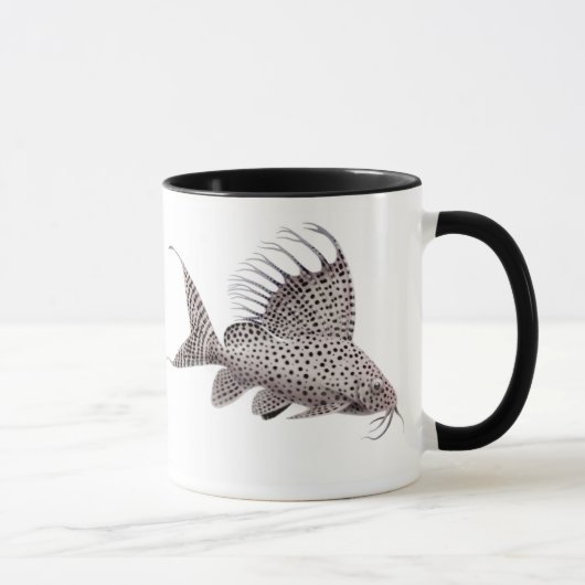 Tasse de poisson-chat d'eupterus de Synodontis (Droite)