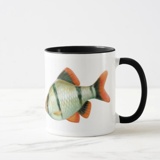 Tasse de poissons d'aquarium de Barb de tigre (Droite)