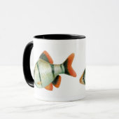 Tasse de poissons d'aquarium de Barb de tigre (Devant gauche)