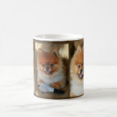 Tasse de Pomeranian (Centre)