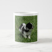 Tasse de Pomeranian (Devant)