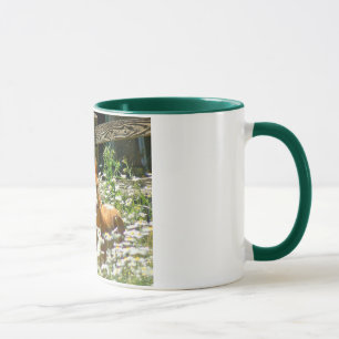 Tasse de poney de gallois