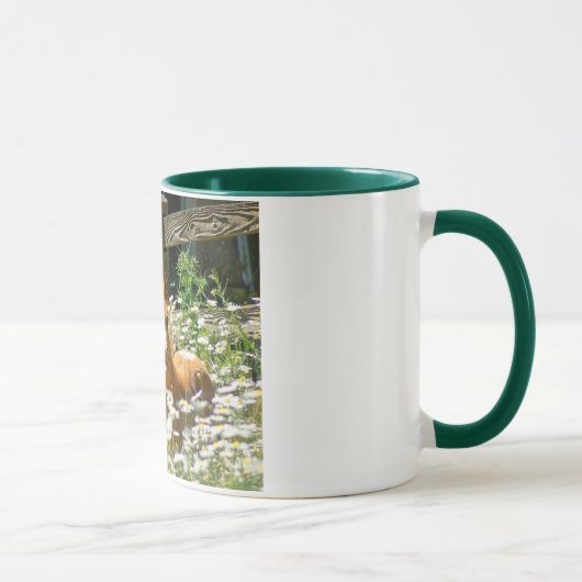 Tasse de poney de gallois (Droite)