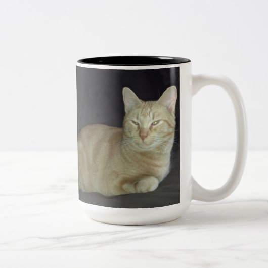 Tasse de portrait de chat d'oscar (Droit)