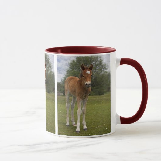 Tasse de poulain (Droite)