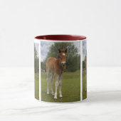 Tasse de poulain (Centre)