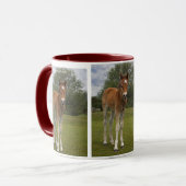 Tasse de poulain (Devant gauche)