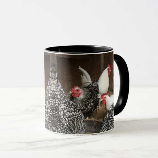 TASSE DE POULET (Devant droit)