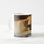 Tasse de puanteur timide (Devant gauche)