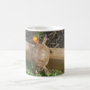 Tasse de Pugsly de ressort