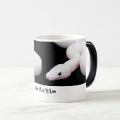 Tasse de python de boule de Leucistic (Devant droit)