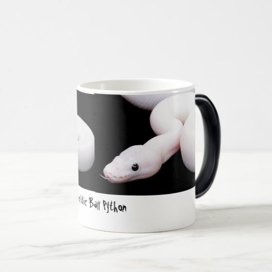 Tasse de python de boule de Leucistic (Devant droit)