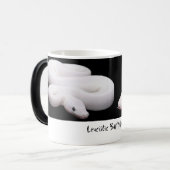 Tasse de python de boule de Leucistic (Devant gauche)