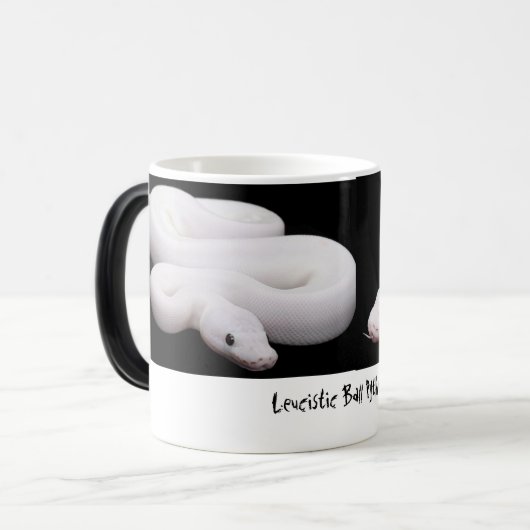Tasse de python de boule de Leucistic (Devant gauche)