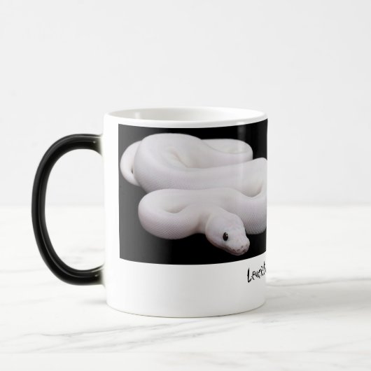 Tasse de python de boule de Leucistic (Gauche)