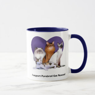 Tasse de race de délivrance de chat