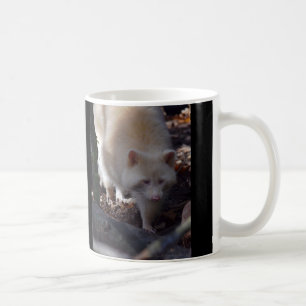 Tasse de raton laveur albinos