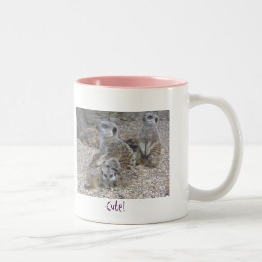 Tasse de règle de Meerkats (Droit)