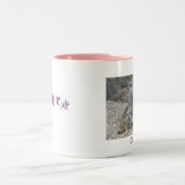 Tasse de règle de Meerkats (Centre)