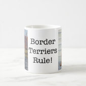Tasse de règle de terriers de frontière (Centre)