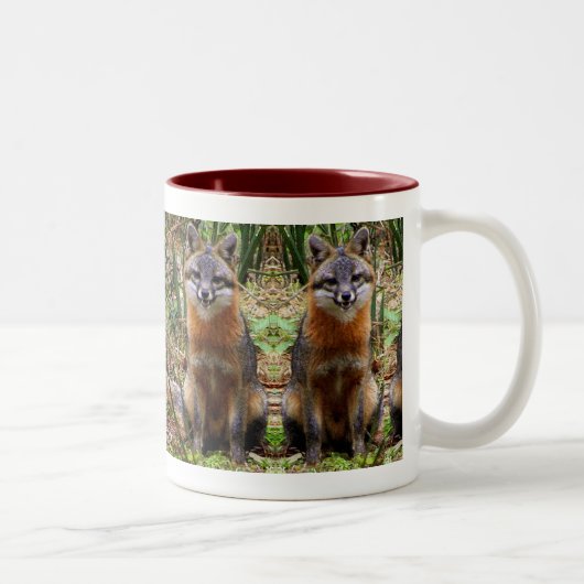 TASSE DE RENARD (Droit)