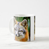 TASSE DE RENARD GRIS (Devant gauche)