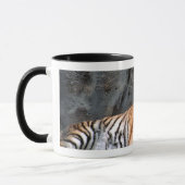 Tasse de repos de tigre (Gauche)