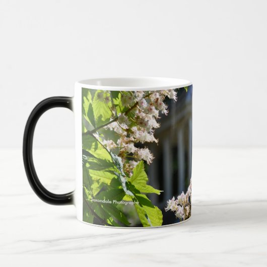 Tasse "de ressort de terre de parc" (Gauche)