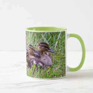 Tasse de réunion de canetons