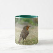 Tasse de Robin (Centre)