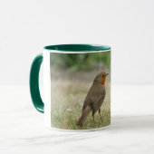 Tasse de Robin (Devant gauche)