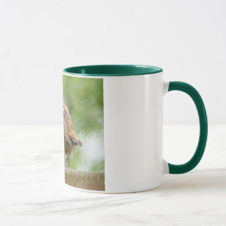 Tasse de Robin de bébé