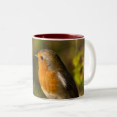 Tasse de Robin d'hiver (Devant droit)