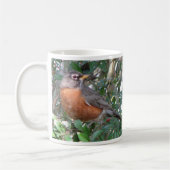 Tasse de Robin d'hiver (Gauche)