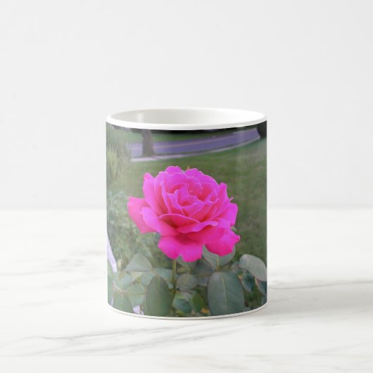 Tasse de rose de rose (Centre)