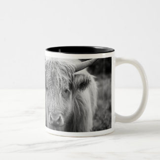 Tasse de roucoulement de Heilan